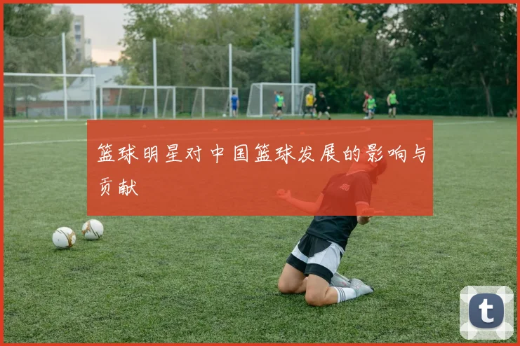 篮球明星对中国篮球发展的影响与贡献