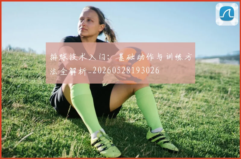 排球技术入门：基础动作与训练方法全解析_20260528193026